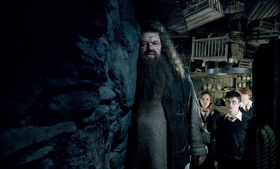 Harry Potter y la Orden del Fénix