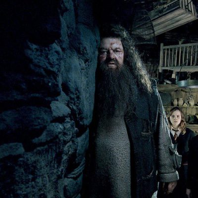 Harry Potter y la Orden del Fénix