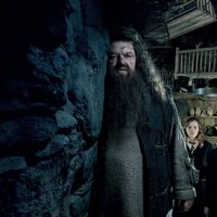 Harry Potter y la Orden del Fénix