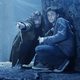 Harry Potter y la Orden del Fénix