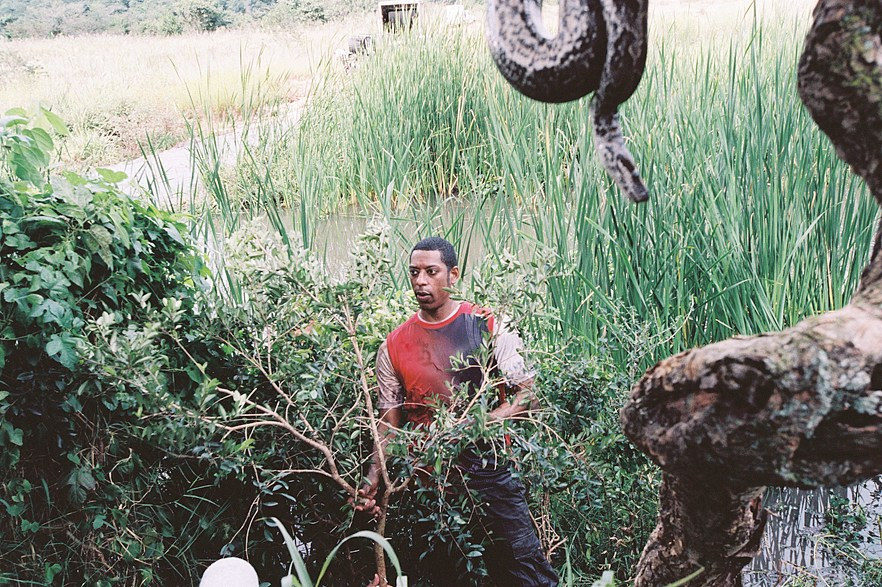 Cocodrilo, un asesino en serie