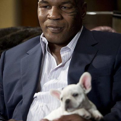 Resacón en Las Vegas