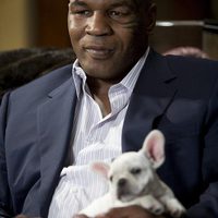 Resacón en Las Vegas