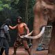 Ong Bak 2: La leyenda del Rey Elefante