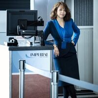 The Flight Attendant