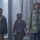 Percy Jackson y los dioses del Olimpo