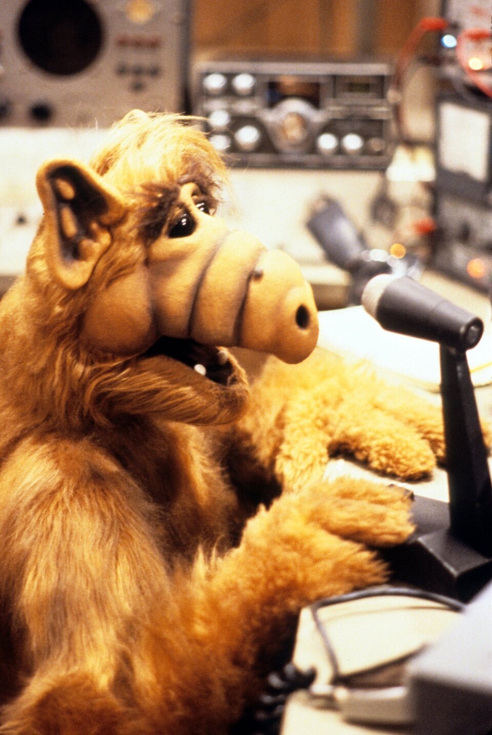 Alf