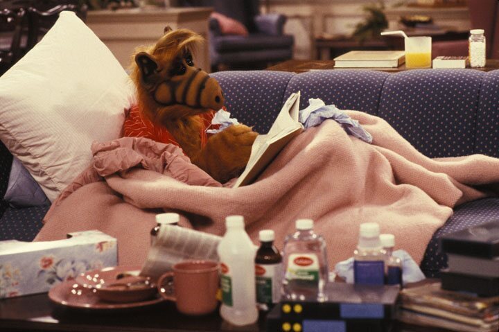 Alf