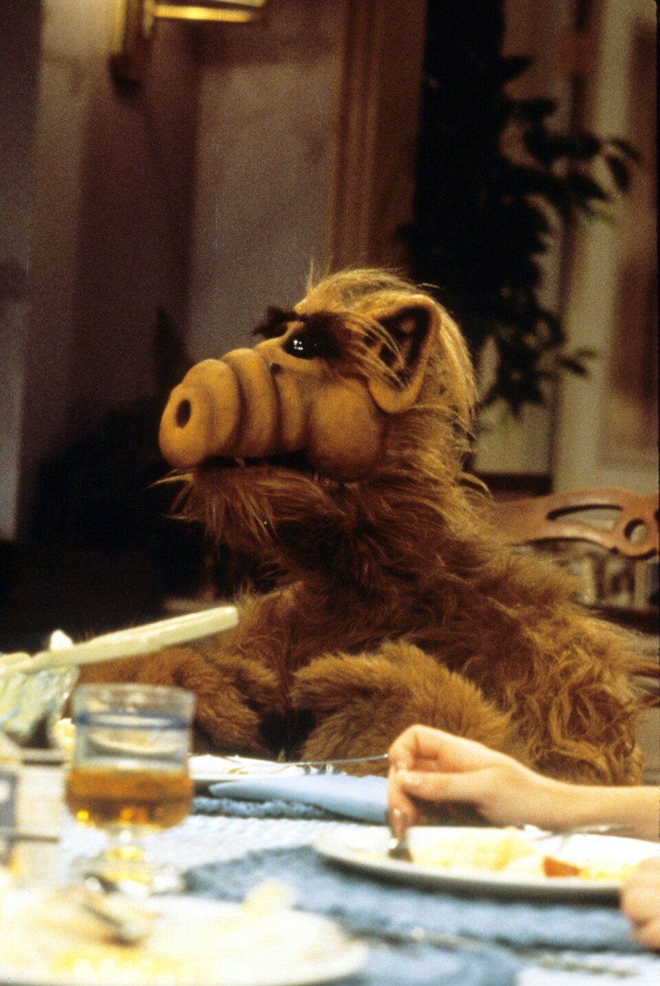 Alf