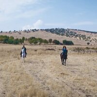 Hercai