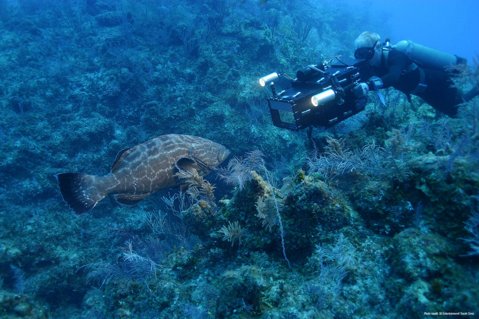 OceanWorld 3D