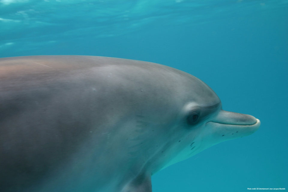 OceanWorld 3D