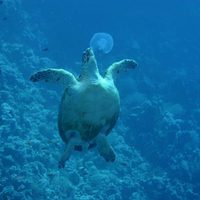 OceanWorld 3D
