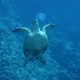 OceanWorld 3D