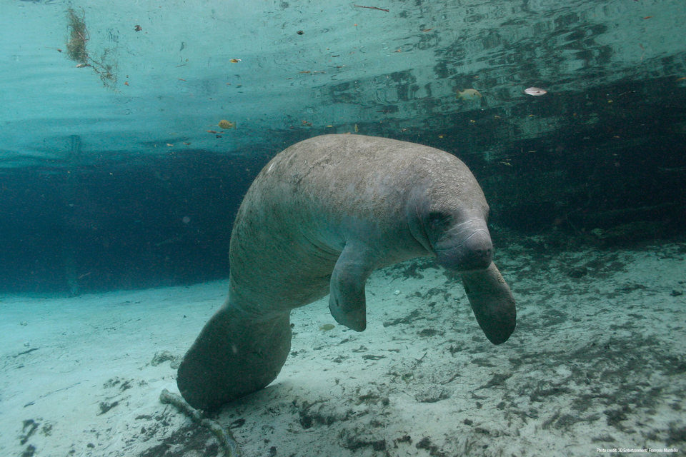 OceanWorld 3D