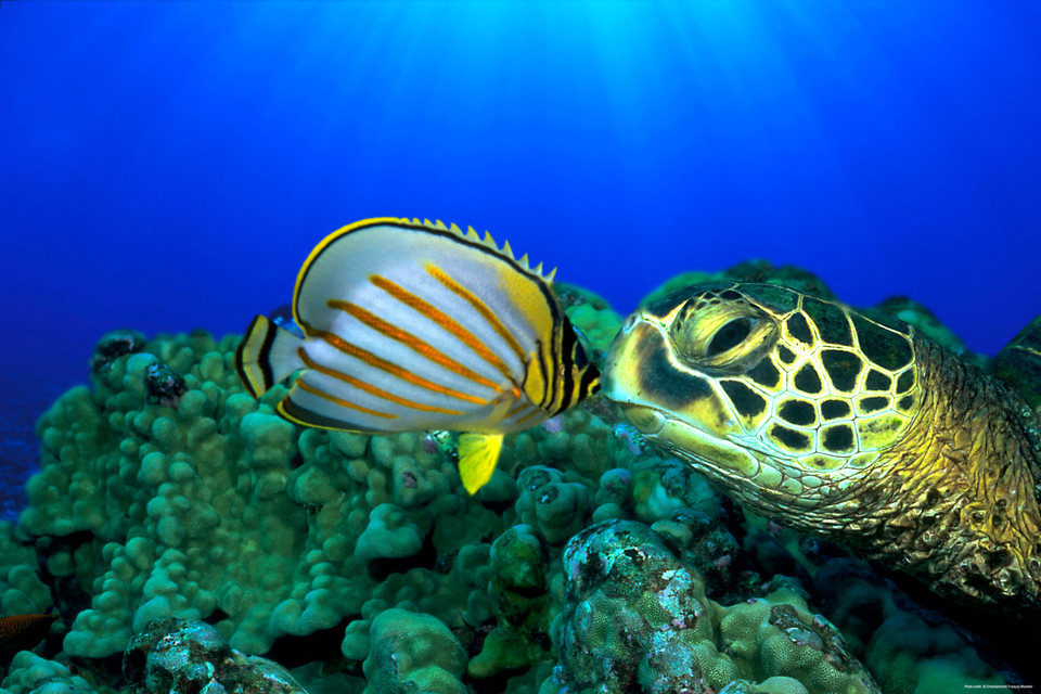 OceanWorld 3D