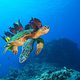 OceanWorld 3D
