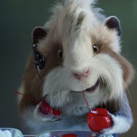 G-Force: Licencia para matar