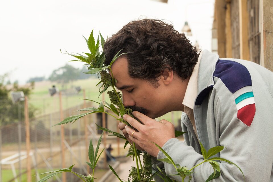 Narcos