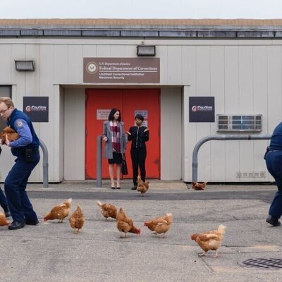 Orange Is the New Black