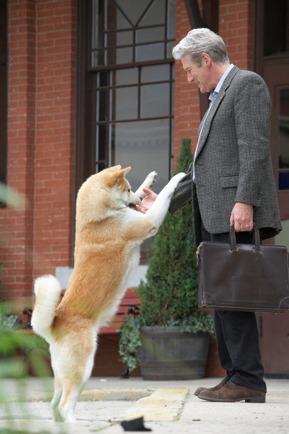 Siempre a tu lado. Hachiko