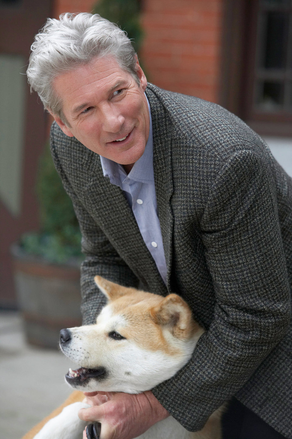 Siempre a tu lado. Hachiko