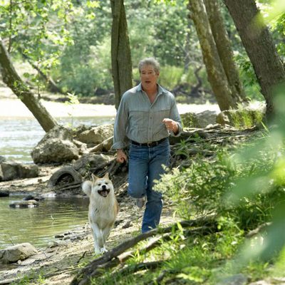 Siempre a tu lado. Hachiko