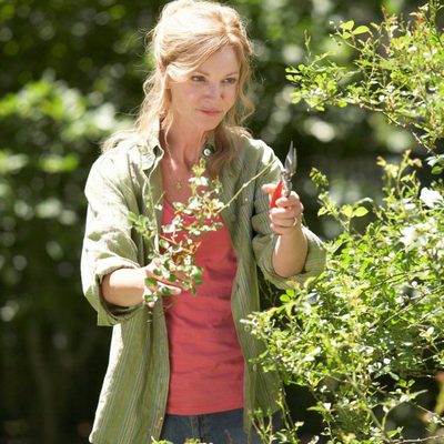 Siempre a tu lado. Hachiko