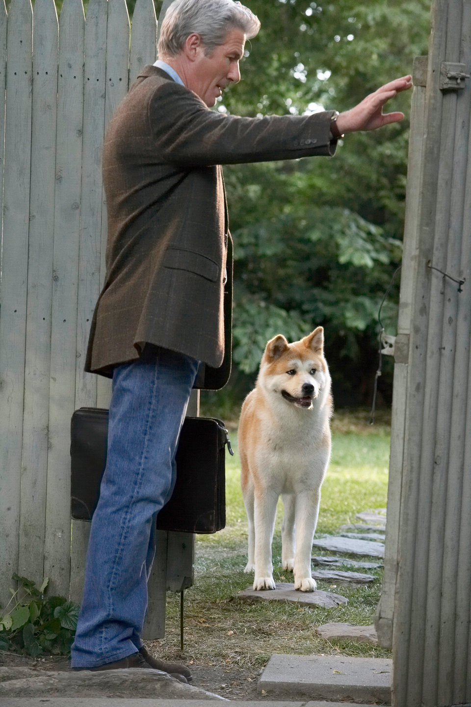 Siempre a tu lado. Hachiko