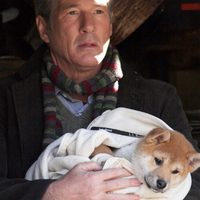 Siempre a tu lado. Hachiko