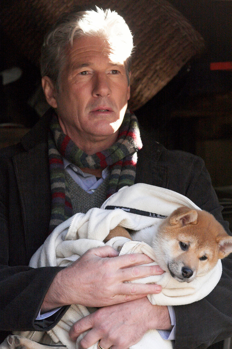 Siempre a tu lado. Hachiko
