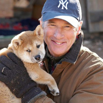 Siempre a tu lado. Hachiko