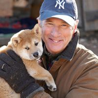 Siempre a tu lado. Hachiko