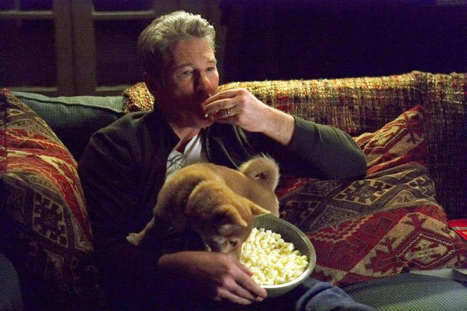 Siempre a tu lado. Hachiko