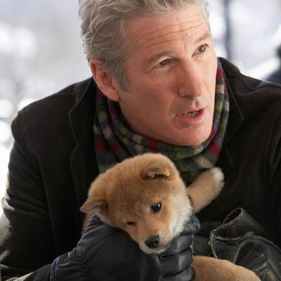 Siempre a tu lado. Hachiko