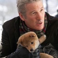 Siempre a tu lado. Hachiko