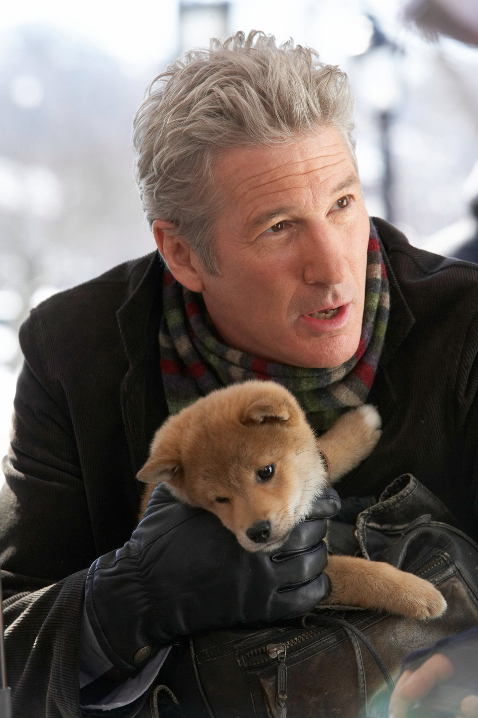 Siempre a tu lado. Hachiko