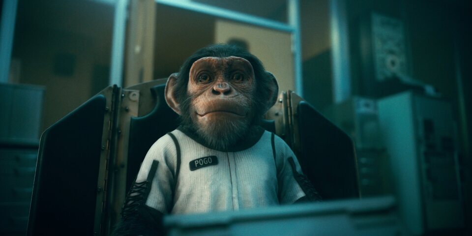 The Umbrella Academy