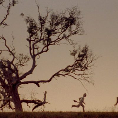 Donde viven los monstruos