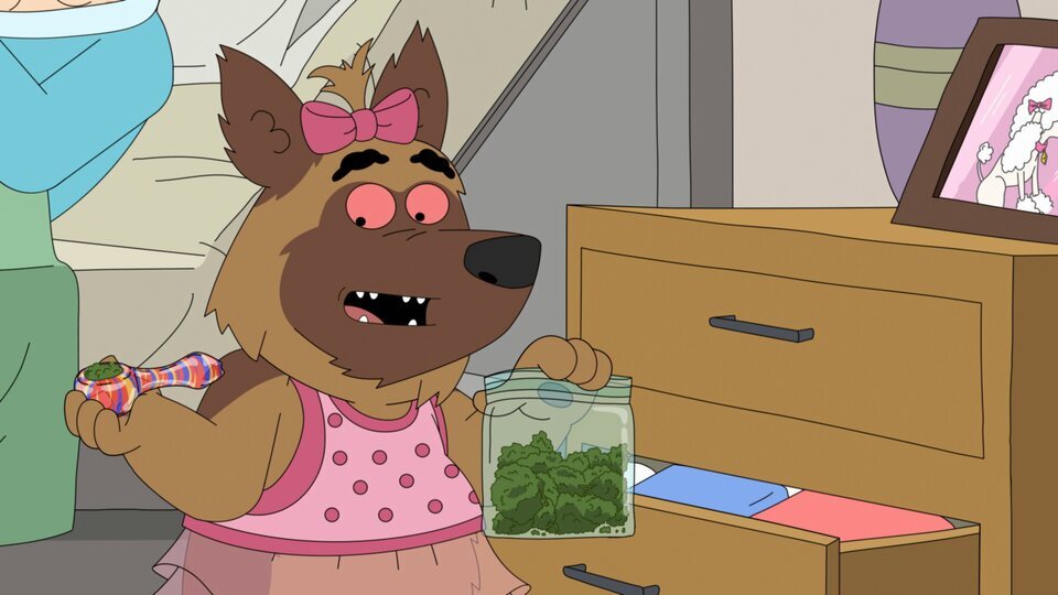 Paradise PD