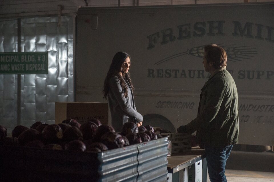 Hemlock Grove