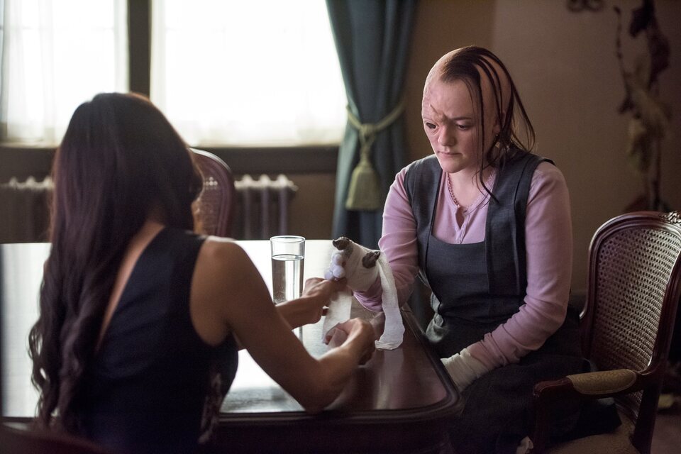 Hemlock Grove