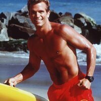 Los vigilantes de la playa