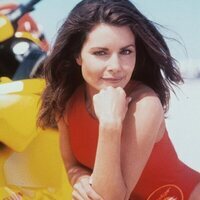 Los vigilantes de la playa