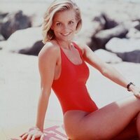 Los vigilantes de la playa