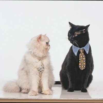 Sabrina, cosas de brujas