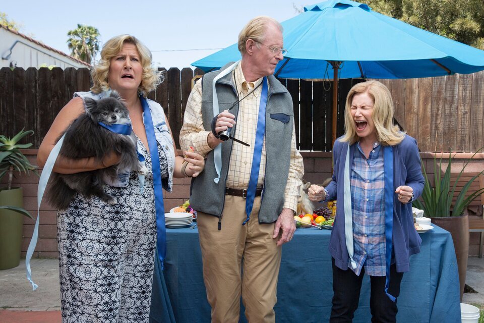 Lady Dynamite