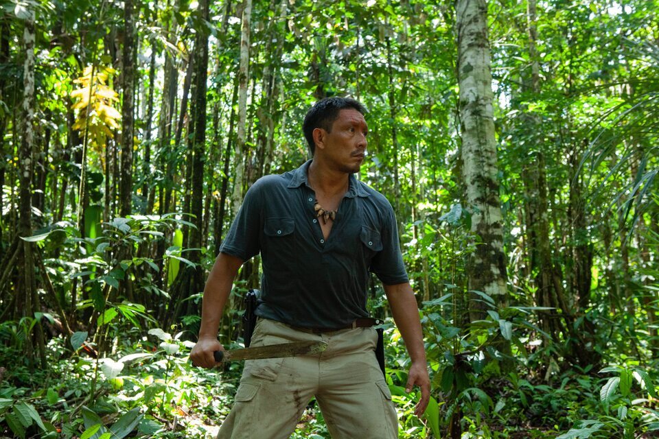 Frontera verde
