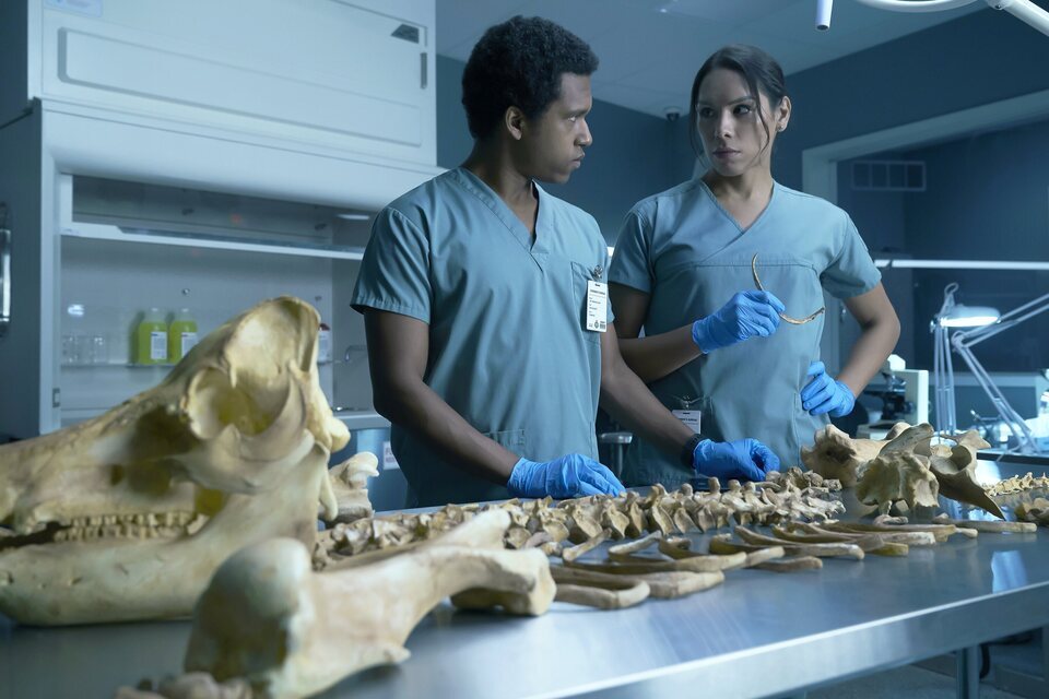 La forense