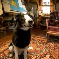 Arthur y la venganza de Maltazard